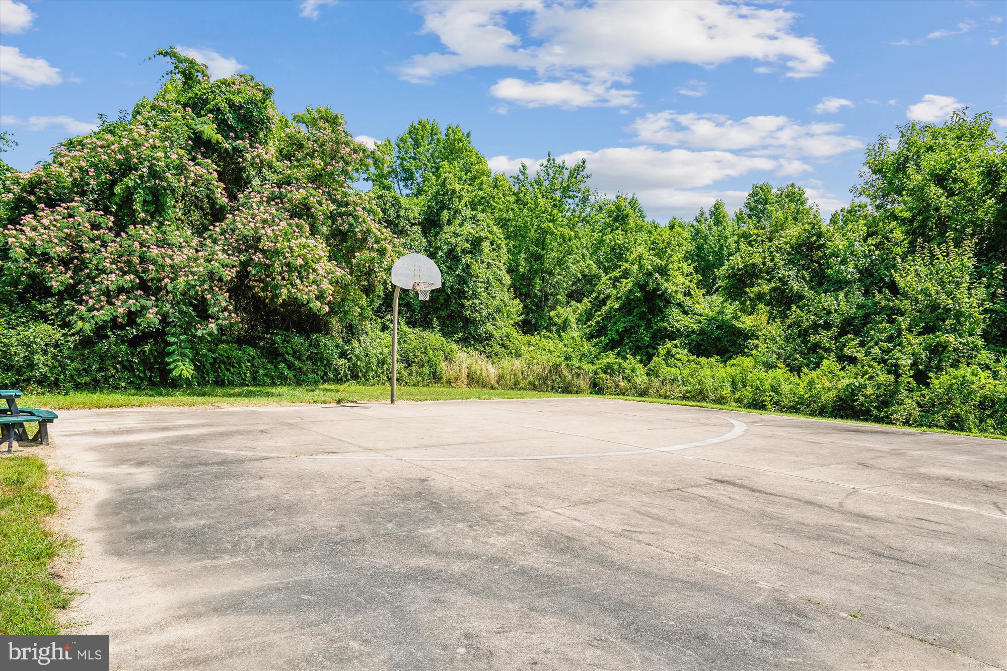118 Queens Colony High Road Stevensville, MD 21666 - Photo 38 of 71 Caroline Park Basketball
