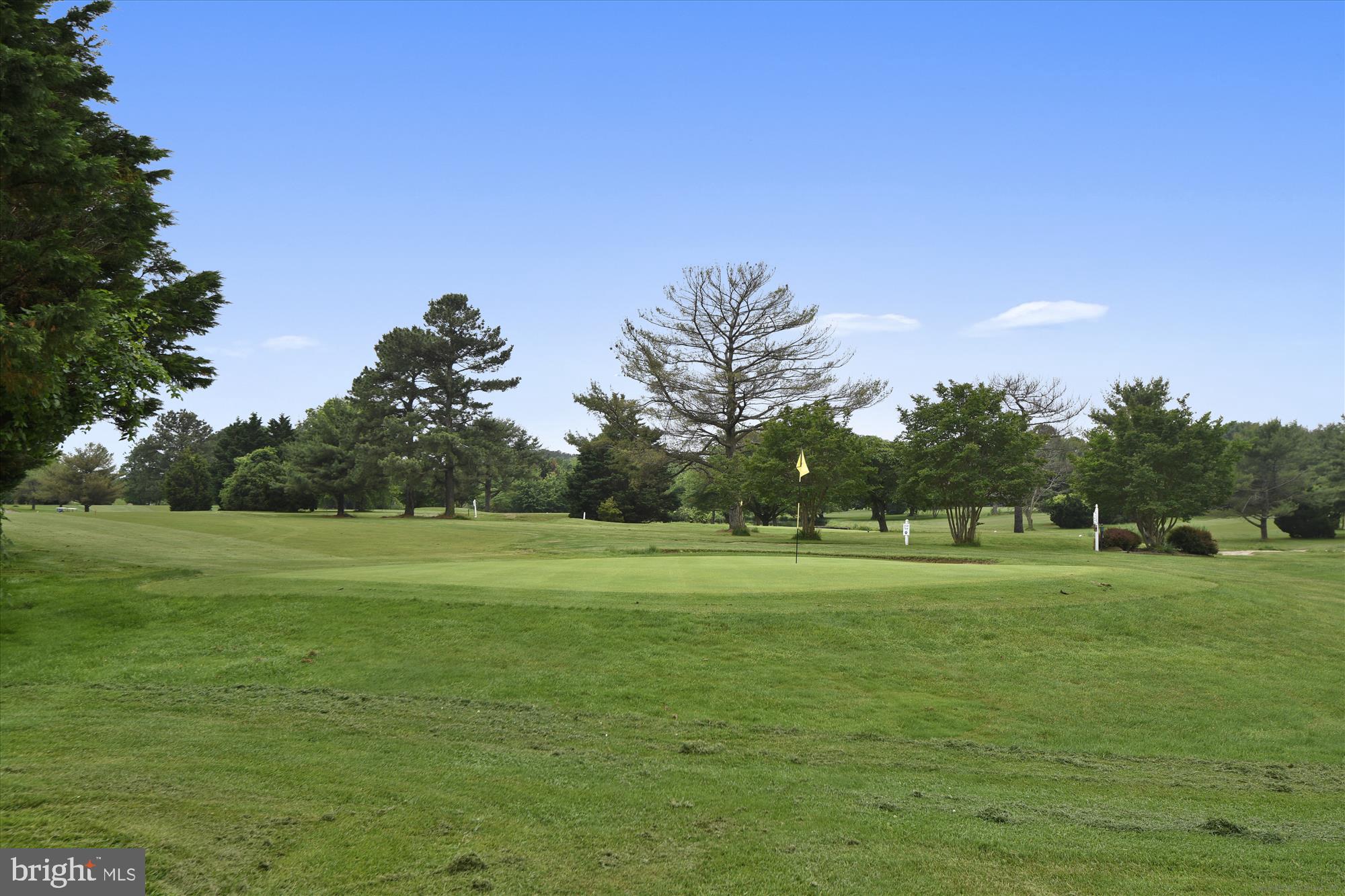 118 Queens Colony High Road Stevensville, MD 21666 - Photo 46 of 71 Blue Heron Golf Course