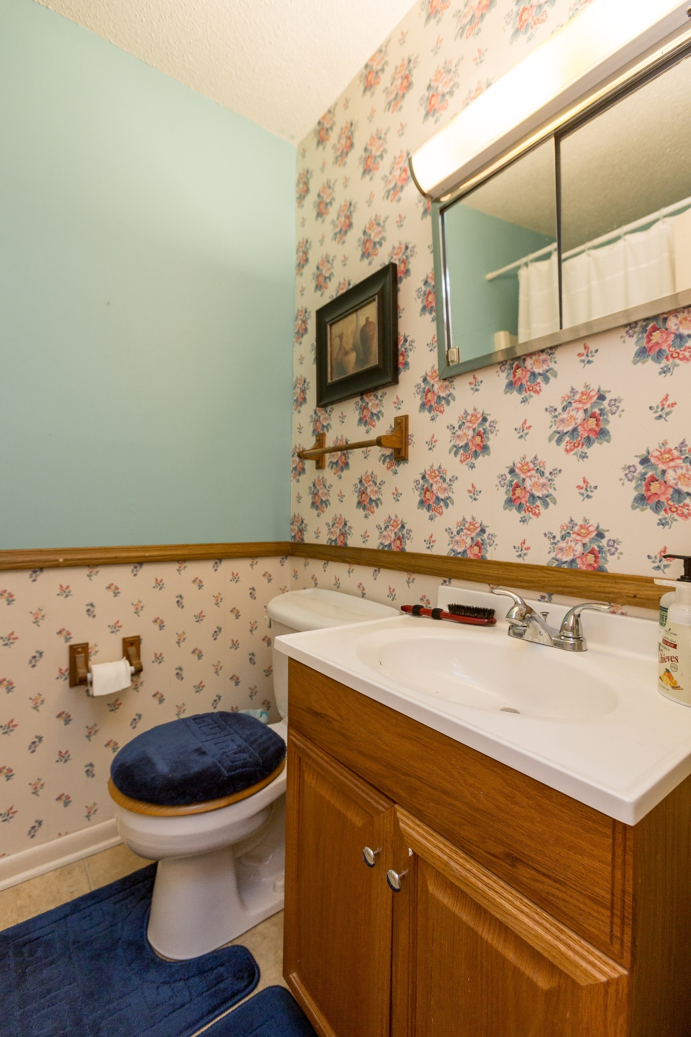5101 New Chapel Road Springfield, TN 37172 - Photo 12 of 41 a bathroom with a sink and a toilet