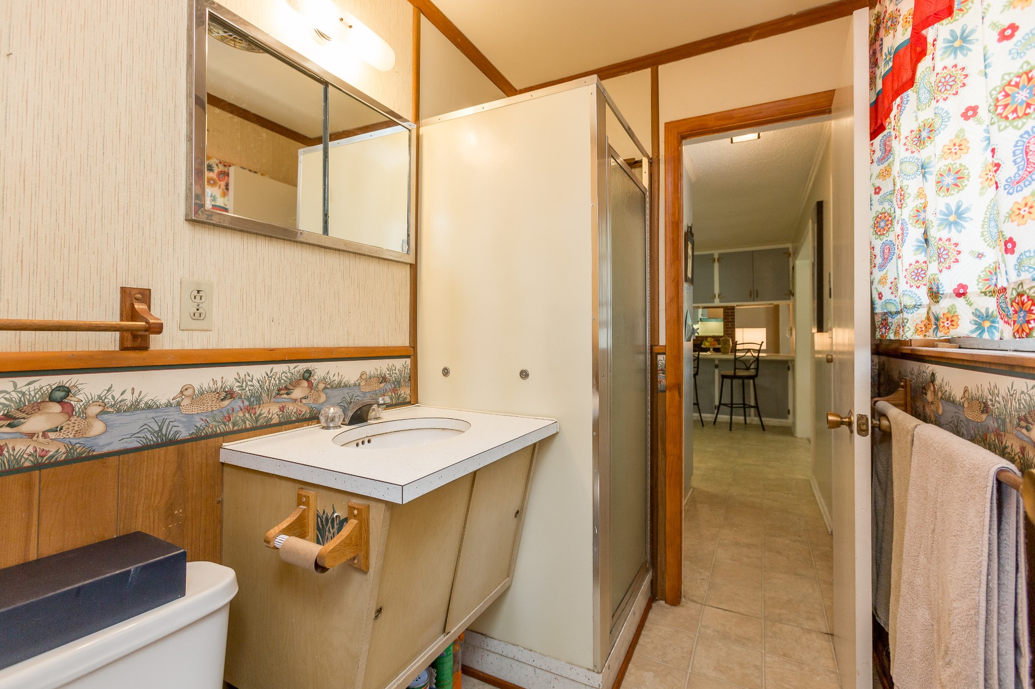 5101 New Chapel Road Springfield, TN 37172 - Photo 23 of 41 a bathroom with a sink a mirror and a shower