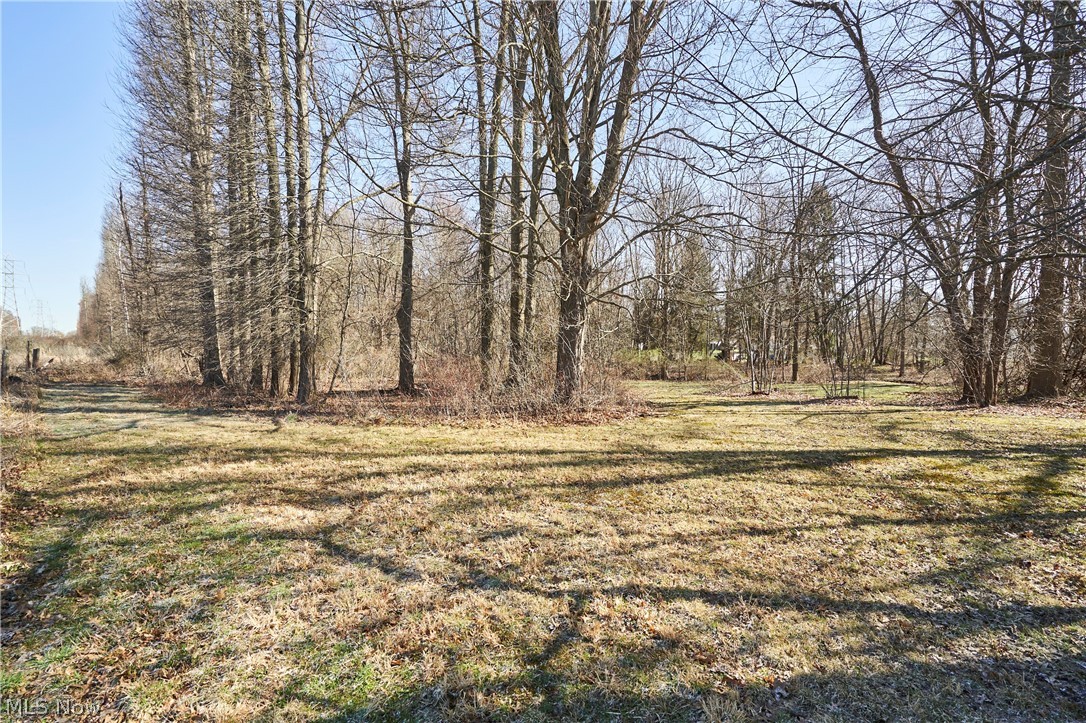 V/l 20-ac Ridgewood Road Akron, OH 44333 - Photo 3 of 16