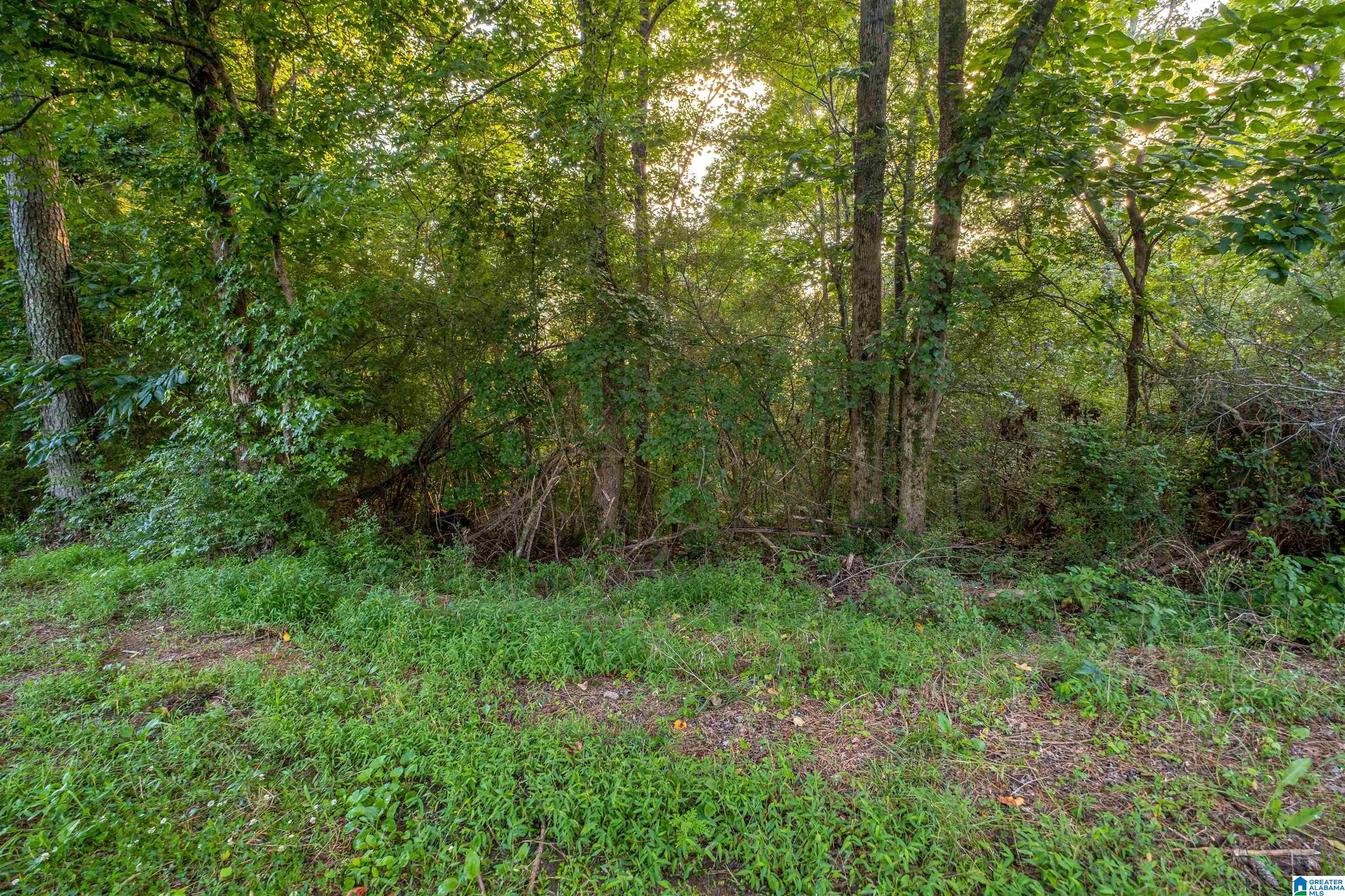 0 Levine Road, Unit X Odenville, AL 35120 - Photo 13 of 16
