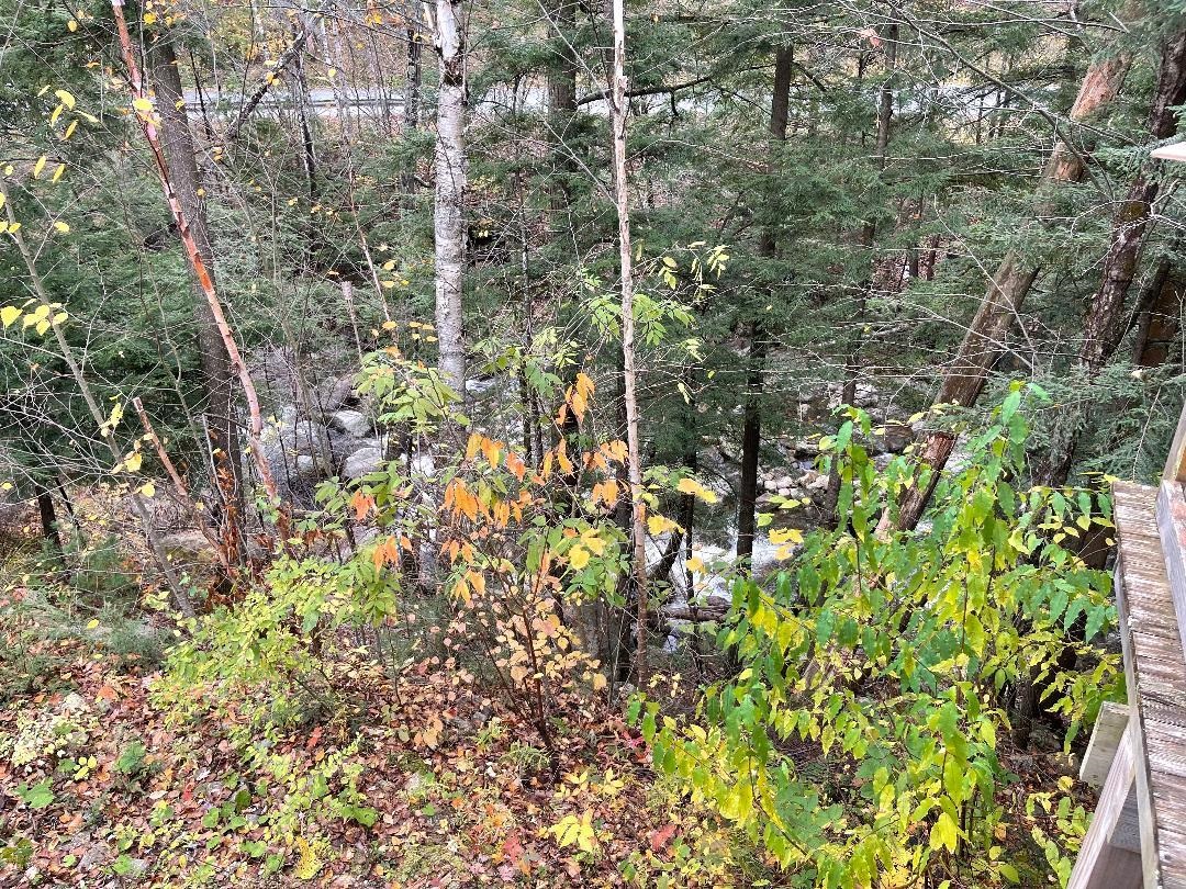 3190 Lower Notch Road Bristol, VT 05443 - Photo 21 of 26