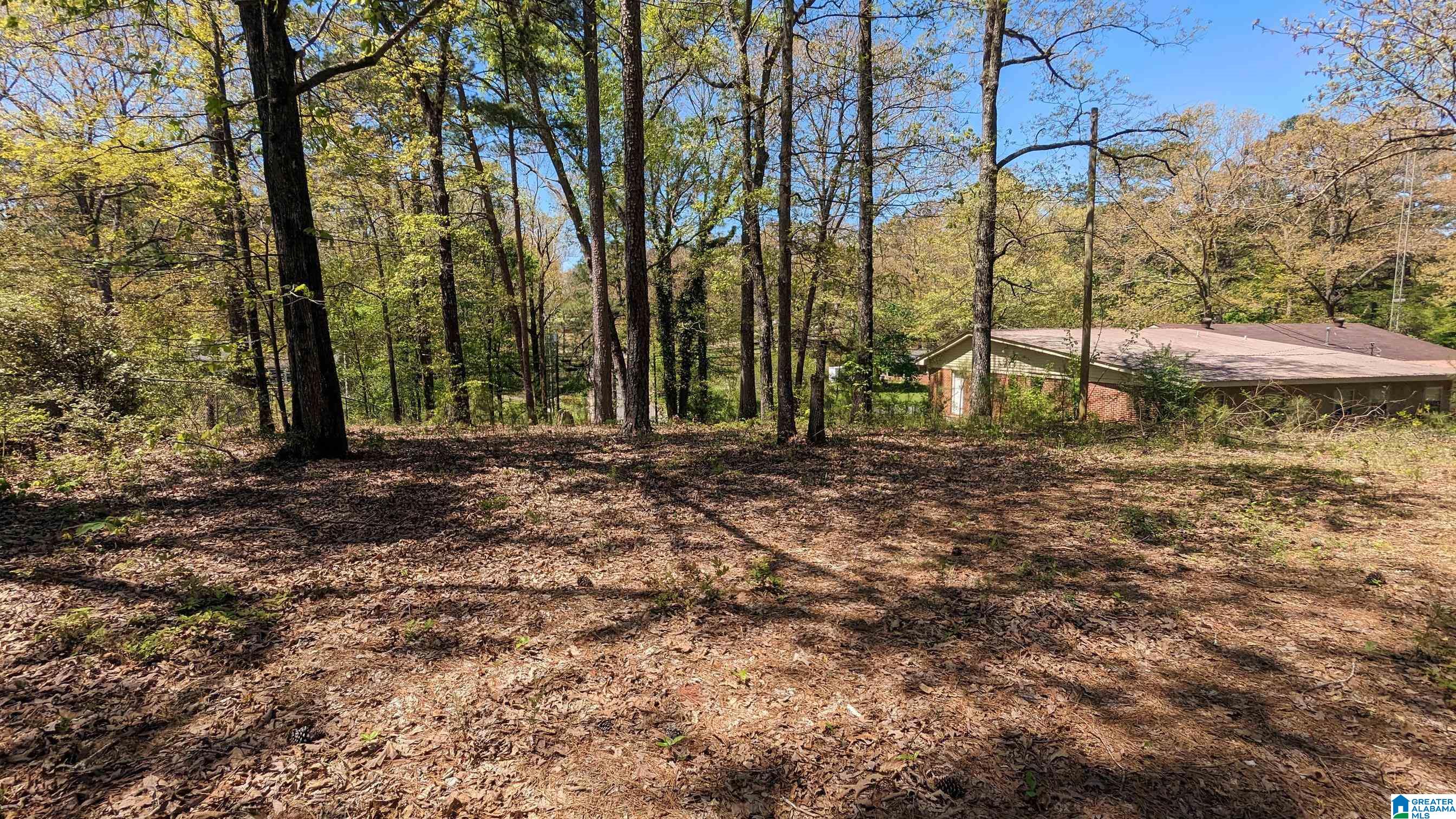 1923 Taylors Mill Road Talladega, AL 35160 - Photo 26 of 32