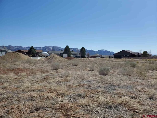 a view of a dry field