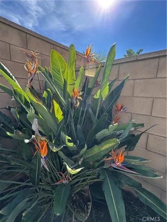 $3,800 | 4845 South Starry Night Lane, Ontario, CA 91762