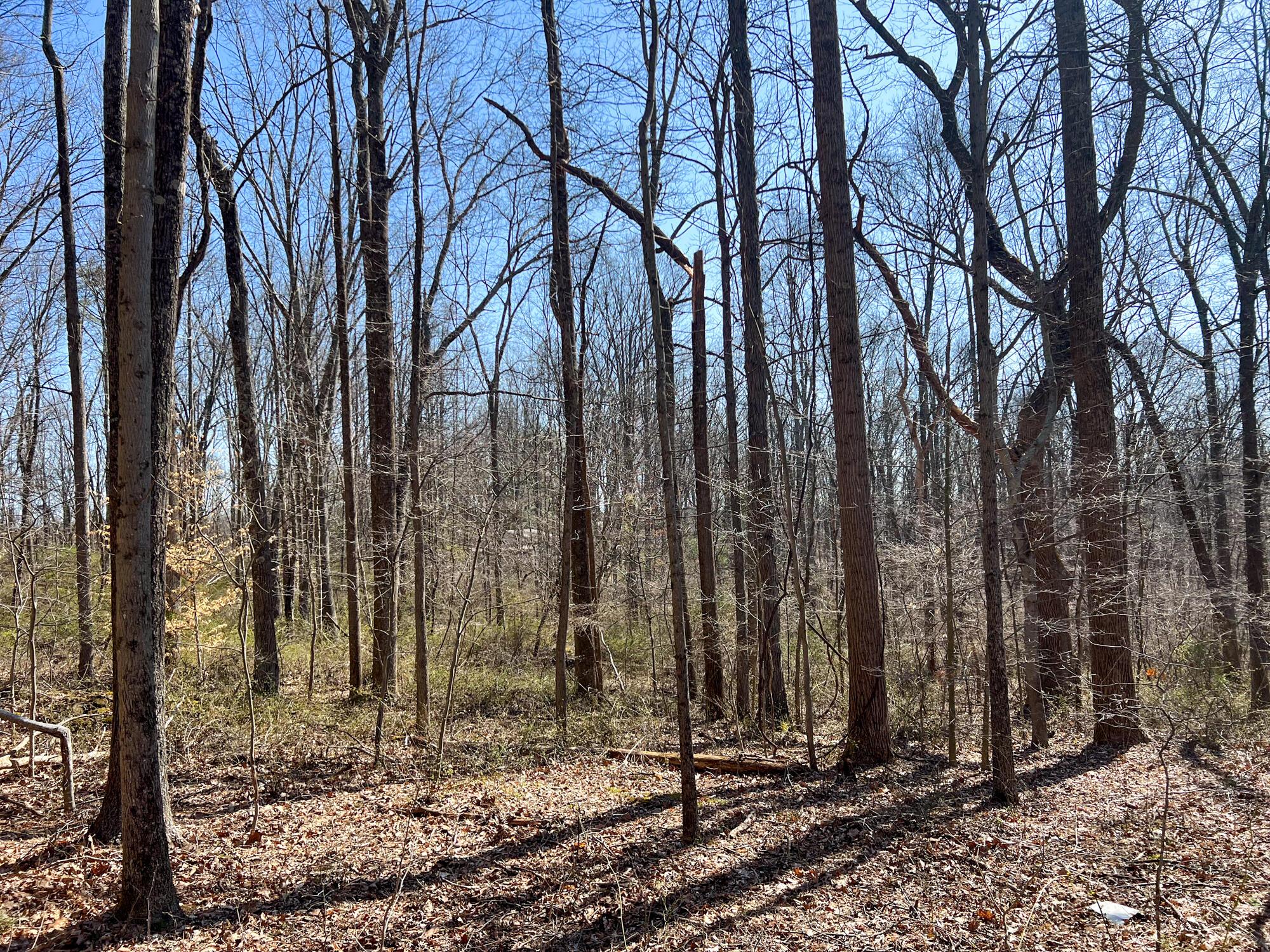 0 Griffith Road Logan, OH 43138 - Photo 20 of 44 IMG_4842