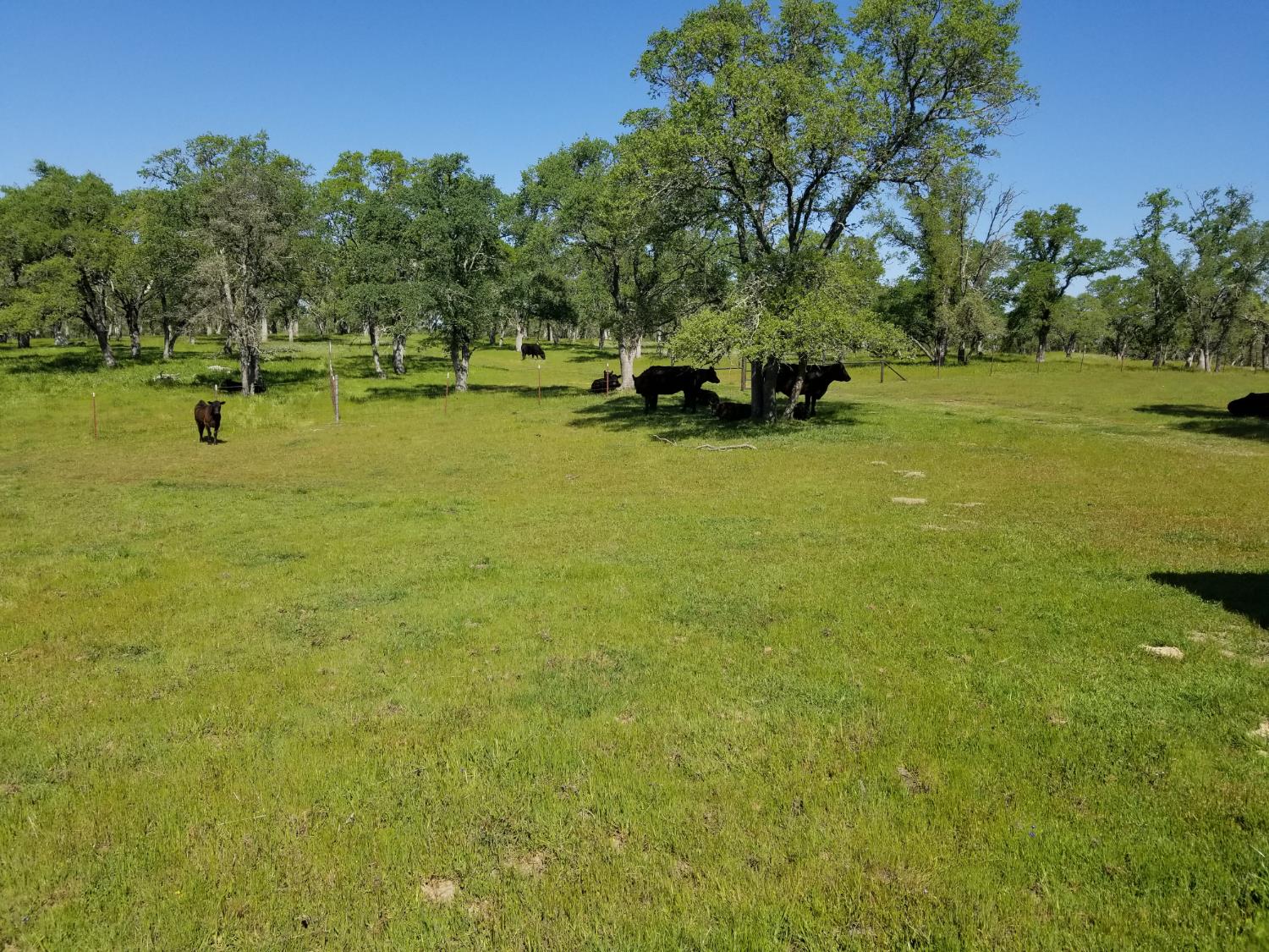 12550 Hogan Dam Road Farmington, CA 95230 - Photo 69 of 75
