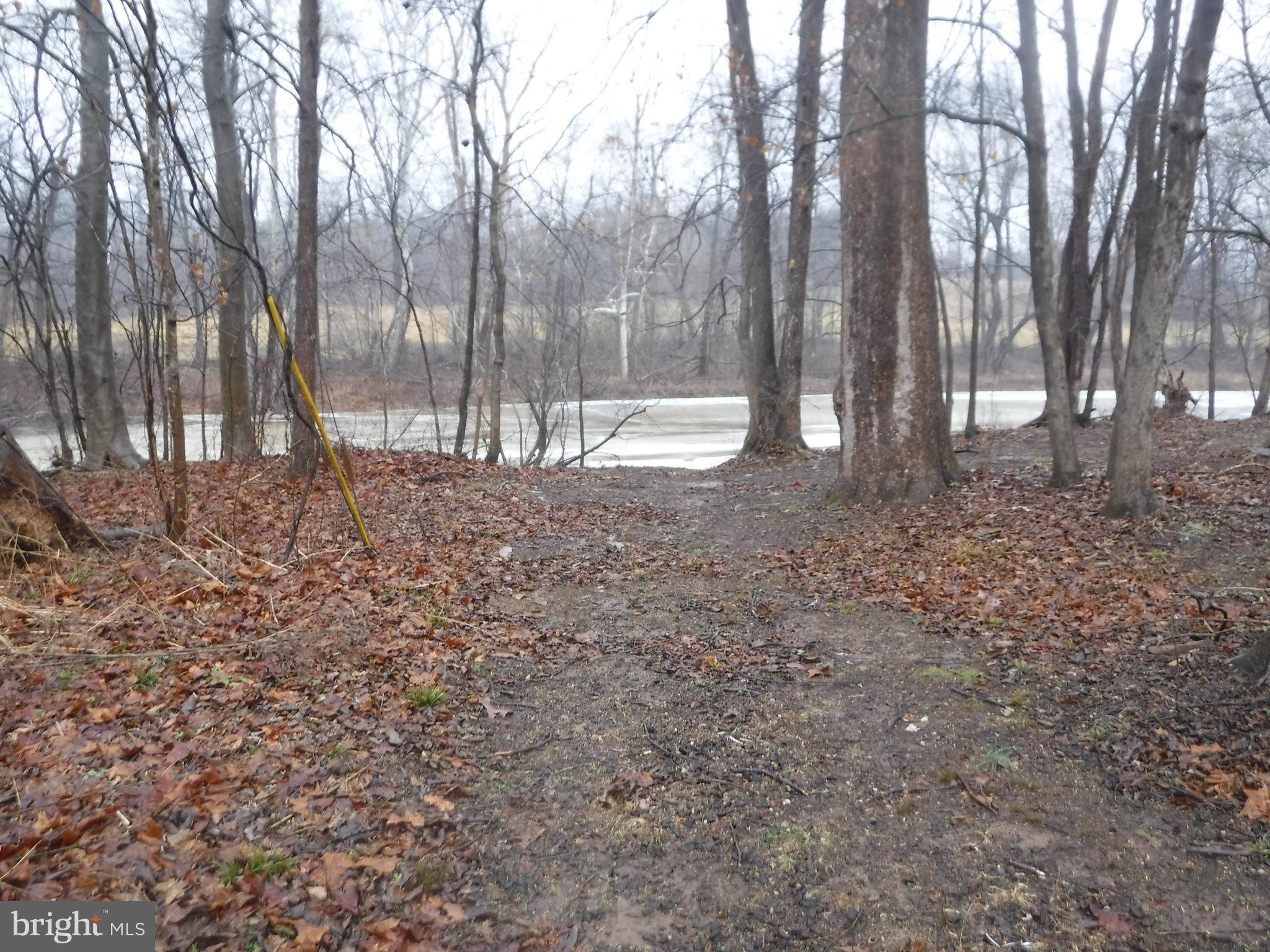 Lot 19 Dark Hollow Road Shermans Dale, PA 17090 - Photo 1 of 1 a view of outdoor space with trees