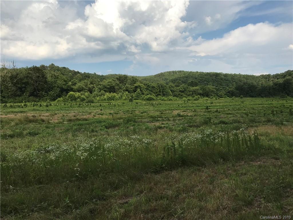 50.56-ac Clark Road Rutherfordton, NC 28139 - Photo 3 of 15