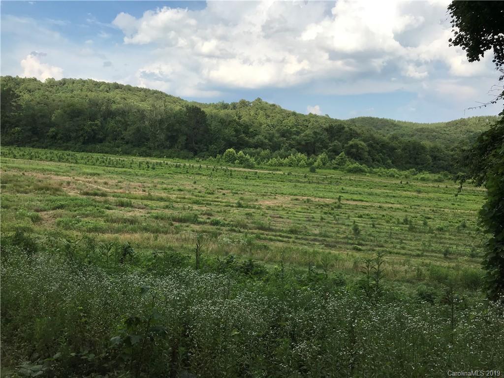 50.56-ac Clark Road Rutherfordton, NC 28139 - Photo 4 of 15