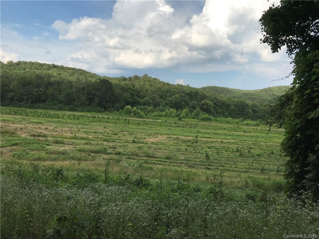 50.56-ac Clark Road Rutherfordton, NC 28139 - Photo 5 of 15