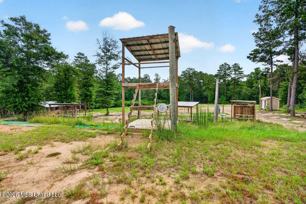 94 Desoto Road McHenry, MS 39561 - Photo 18 of 37 94DesotoRd.S-18