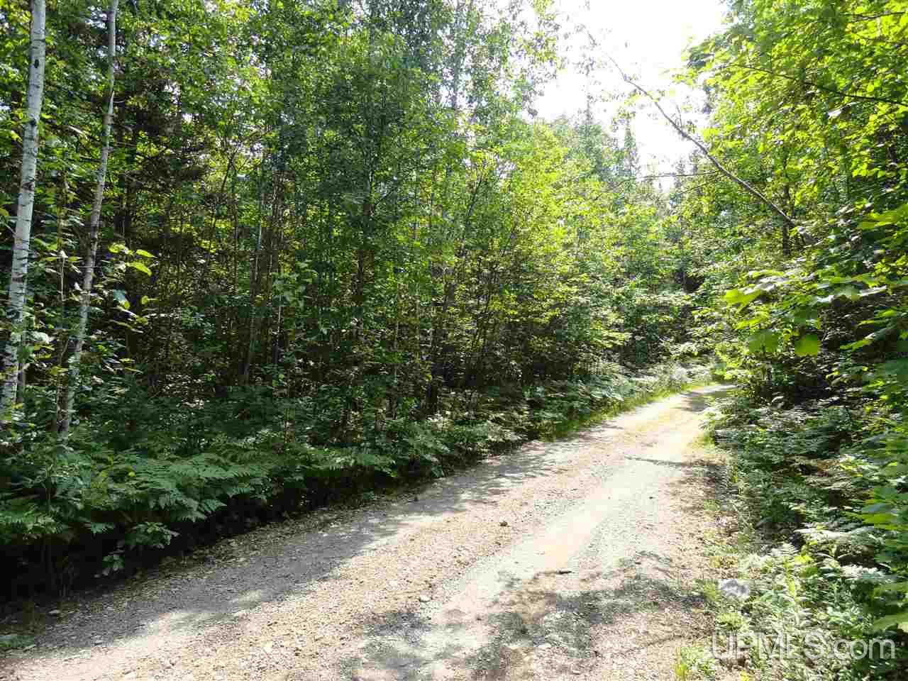 40-acres 40-acres Co Road Ishpeming, MI 49849 - Photo 1 of 36