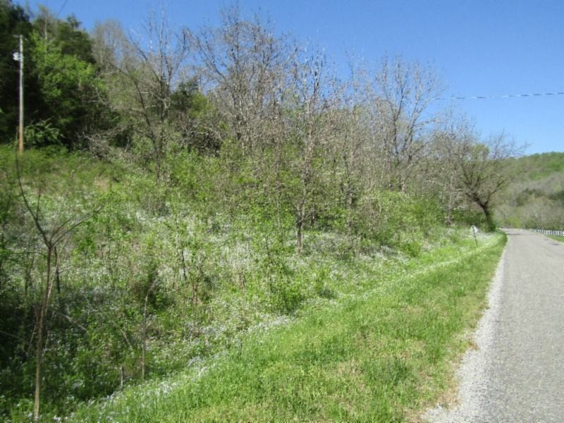 13320 Martin Creek Road Baxter, TN 38544 - Photo 2 of 41 a view of a lush green forest
