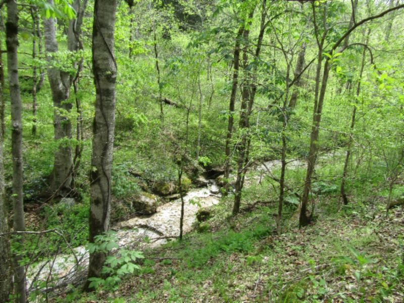 13320 Martin Creek Road Baxter, TN 38544 - Photo 27 of 41 a view of an outdoor space and trees all around