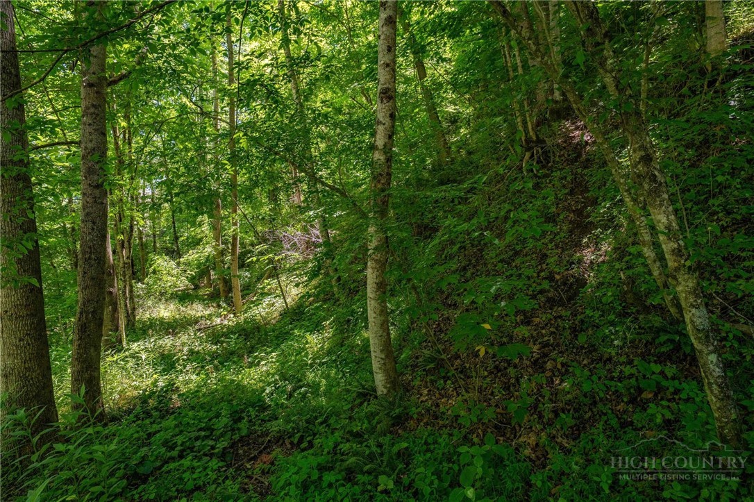 Smith Street Vilas, NC 28692 - Photo 34 of 36