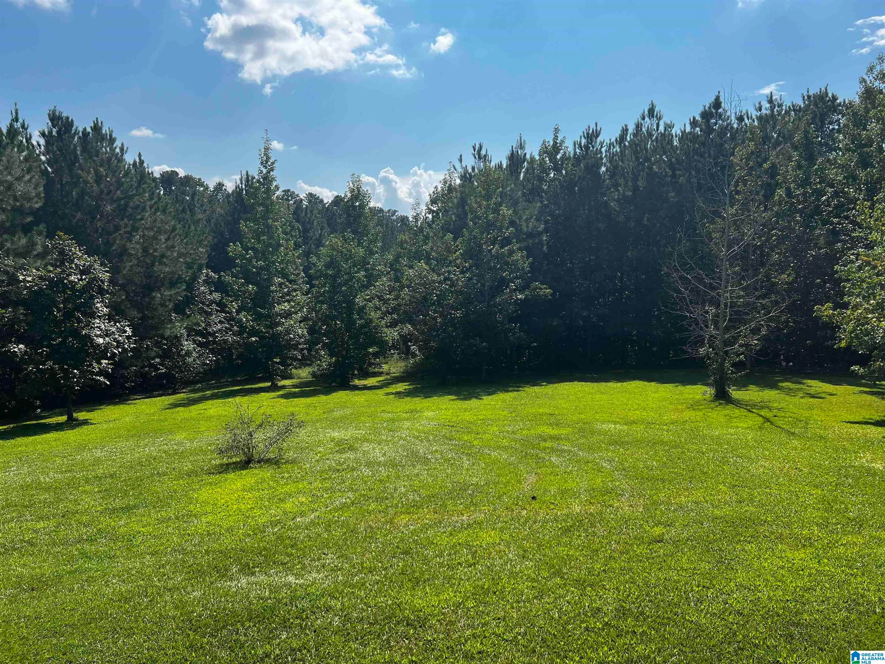 93 Valley Ridge Odenville, AL 35120 - Photo 5 of 27 Gallery Image 5