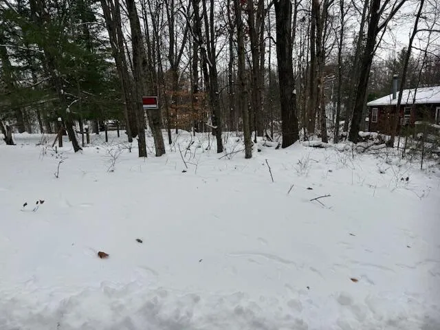 $65,000 | 9861 East School Section Lake Drive, Mecosta, MI 49332