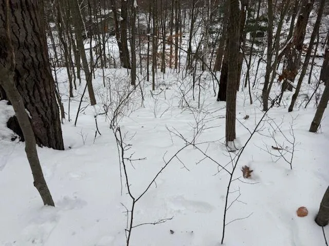 $65,000 | 9861 East School Section Lake Drive, Mecosta, MI 49332