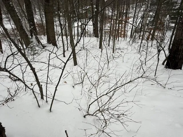 $65,000 | 9861 East School Section Lake Drive, Mecosta, MI 49332