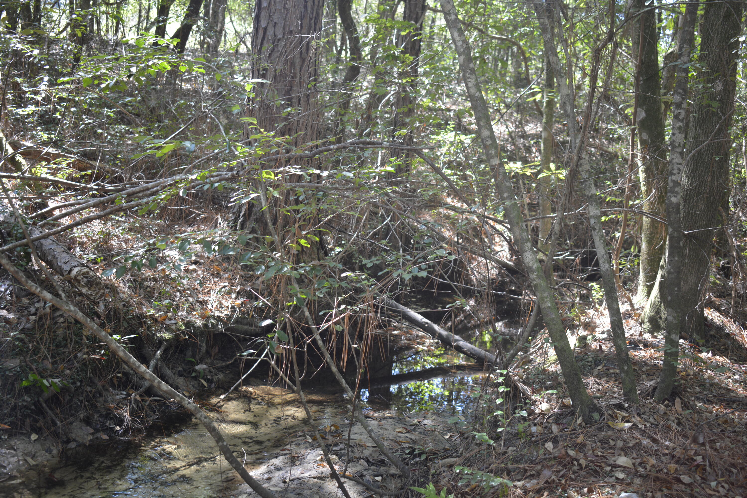 32-acres Aplin Road Crestview, FL 32539 - Photo 19 of 20 Tranquil, clear stream