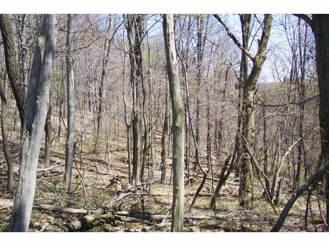 0 Pump Station Road Southeast, Unit LOT14 Sugar Grove, OH 43155 - Photo 3 of 6