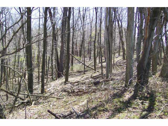 0 Pump Station Road Southeast, Unit LOT14 Sugar Grove, OH 43155 - Photo 4 of 6