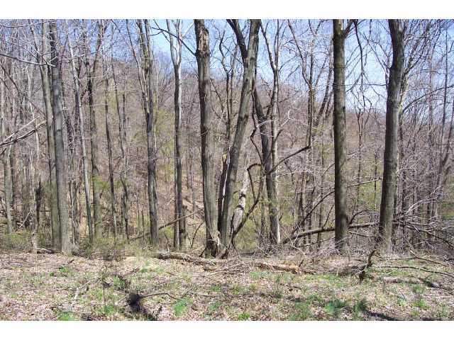 0 Pump Station Road Southeast, Unit LOT14 Sugar Grove, OH 43155 - Photo 5 of 6