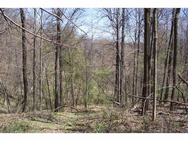 0 Pump Station Road Southeast, Unit LOT14 Sugar Grove, OH 43155 - Photo 6 of 6