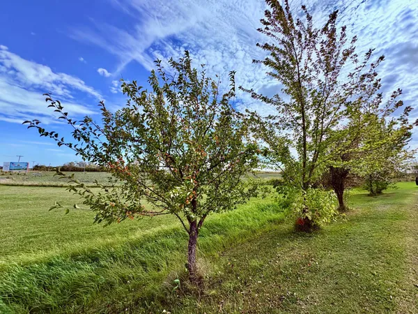 $399,000 | 1401 Highway 11, Baudette, MN 56623