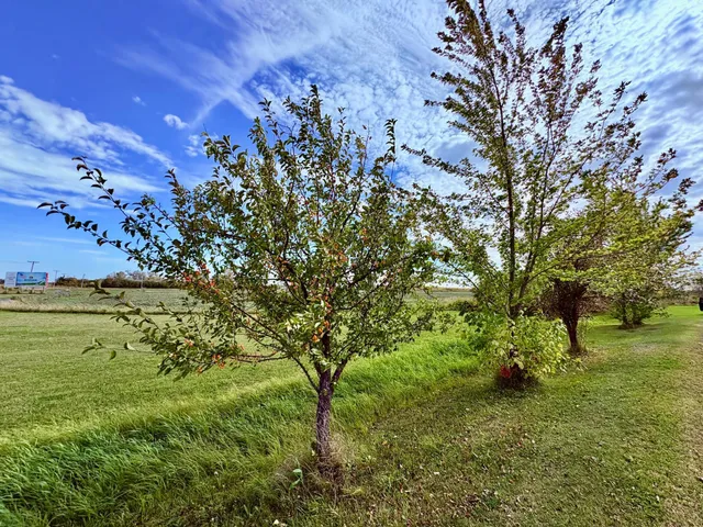 $399,000 | 1401 Highway 11, Baudette, MN 56623