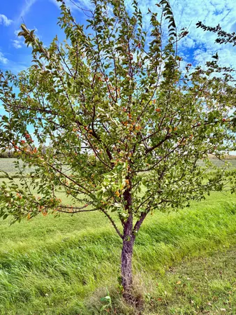 $399,000 | 1401 Highway 11, Baudette, MN 56623