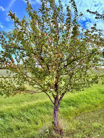 $399,000 | 1401 Highway 11, Baudette, MN 56623