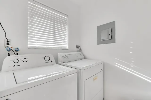 a view of a plant in a garden