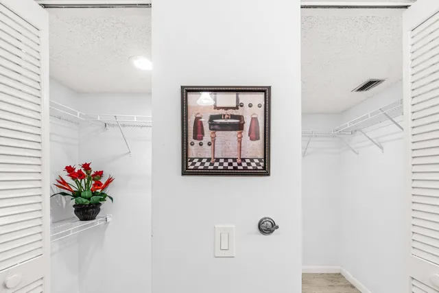 a bathroom with a sink a vanity and a potted plant