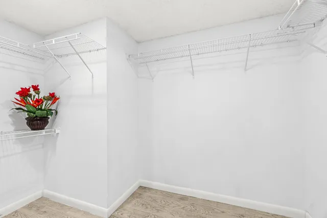 a view of a swimming pool with a yard