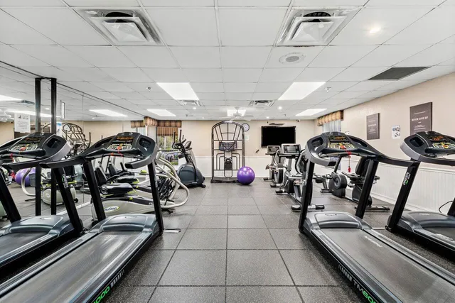 a view of road with palm trees