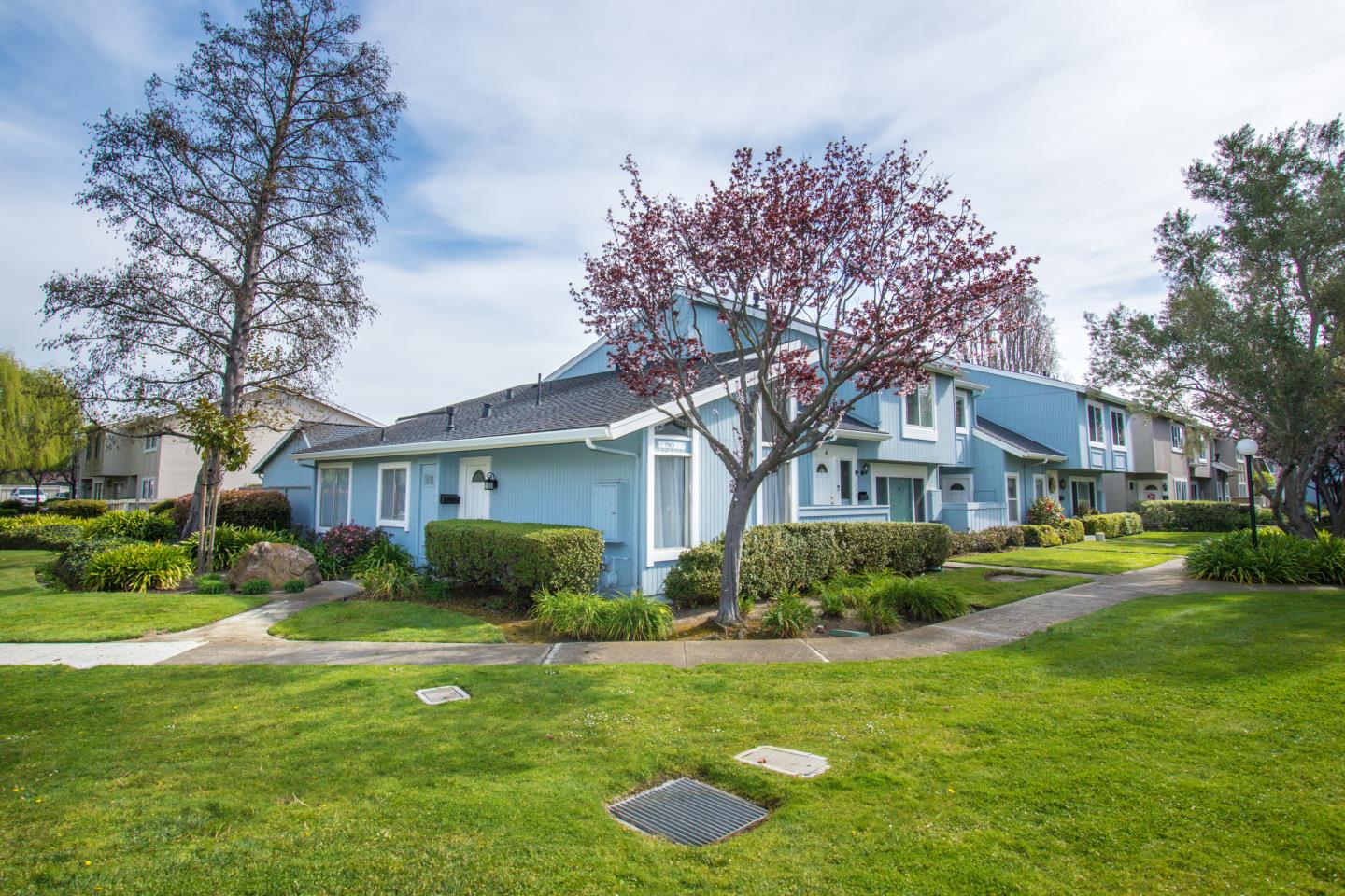 740 Pinta Lane Foster City, CA 94404 - Photo 4 of 33 a front view of a house with a garden and trees