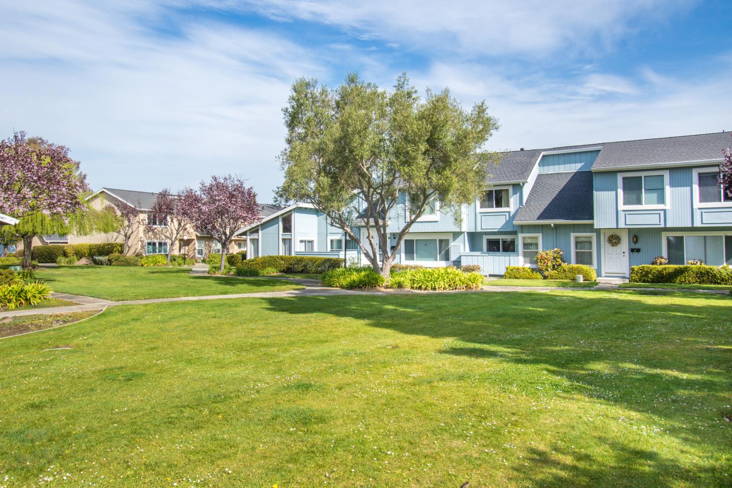 740 Pinta Lane Foster City, CA 94404 - Photo 31 of 33 a view of swimming pool with lawn chairs and large trees