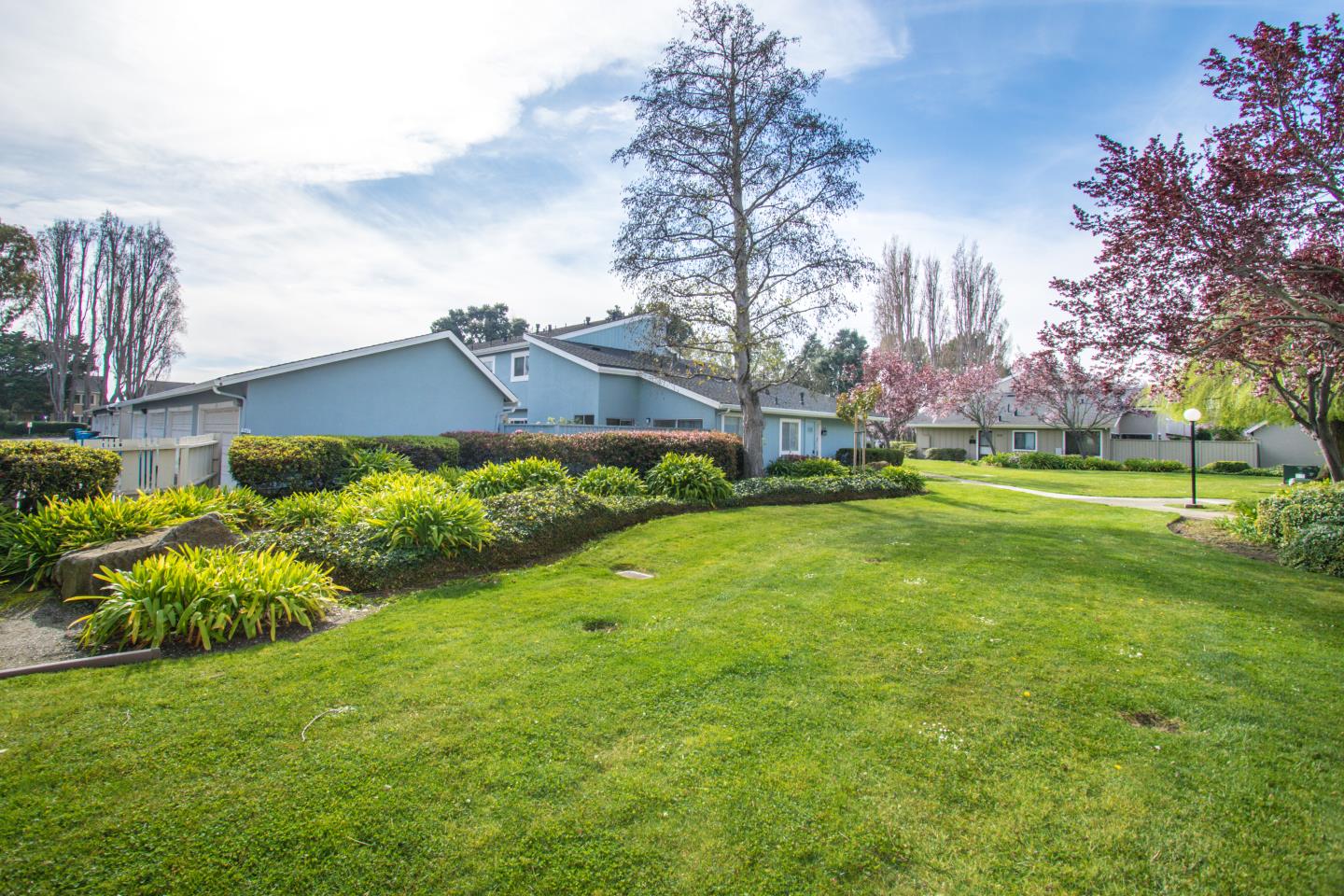 740 Pinta Lane Foster City, CA 94404 - Photo 5 of 33 a view of a house with a big yard and potted plants