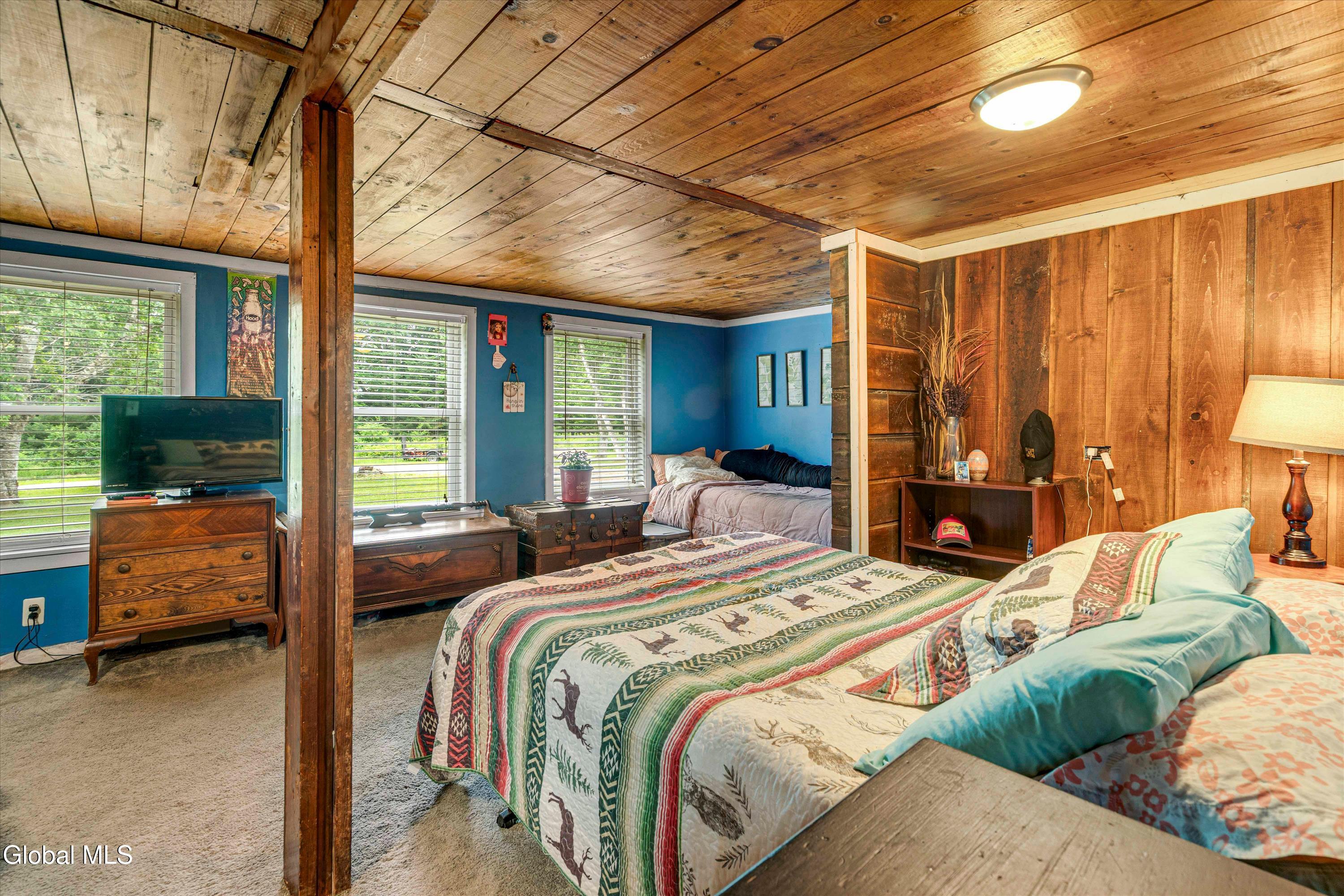 349 Hard Scrabble Road Chester, NY 12853 - Photo 20 of 40 17-ADK-17