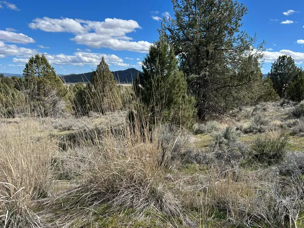 $22,900 | 0 Shasta Street, Unit 35 36 38, Chiloquin, OR 97624