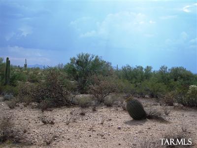 0 M South M Bar J Ranch Road Marana, AZ 85658 - Photo 5 of 6