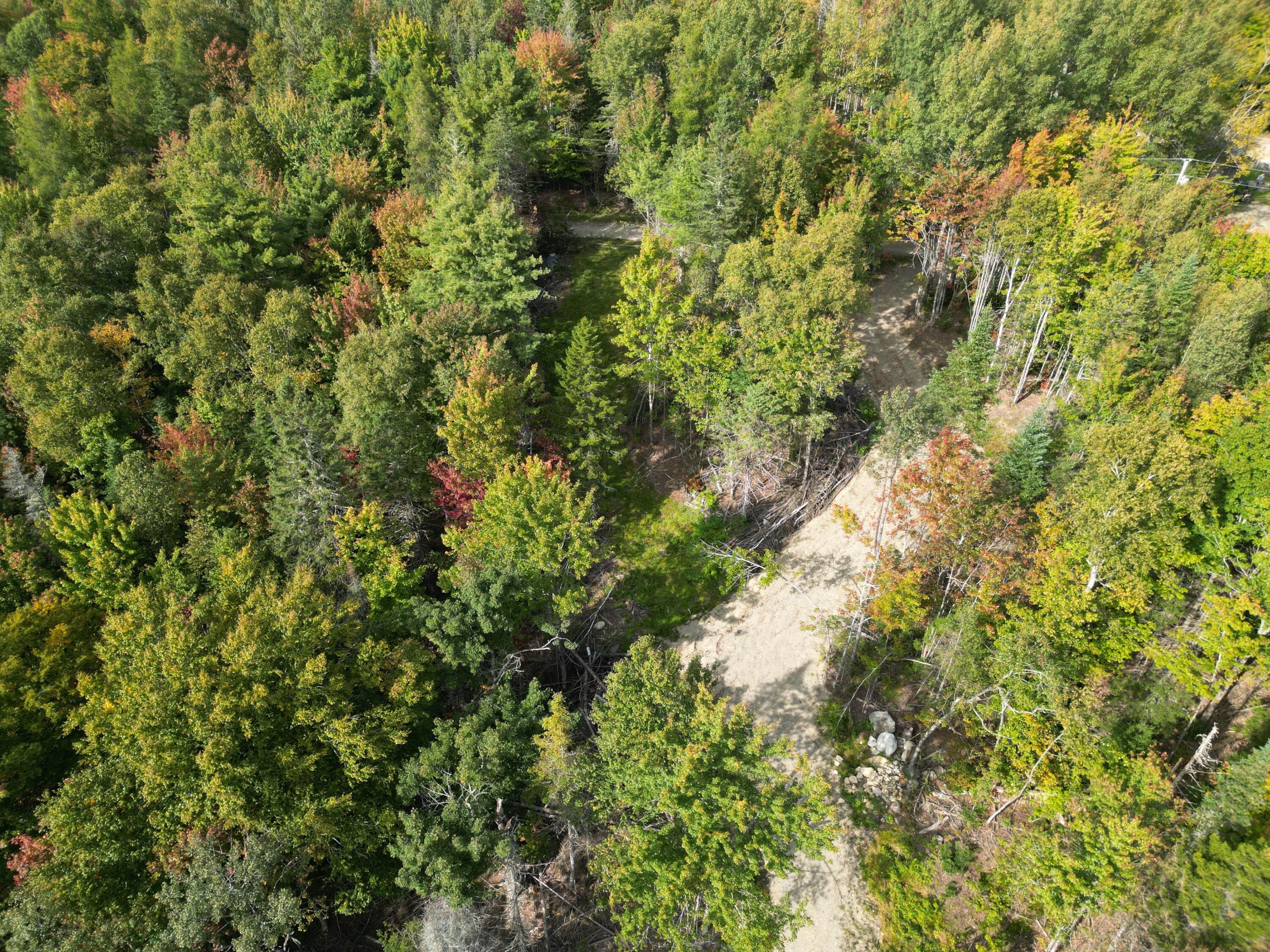 Tbd Moores Road Springfield, ME 04487 - Photo 11 of 22 DJI_0064