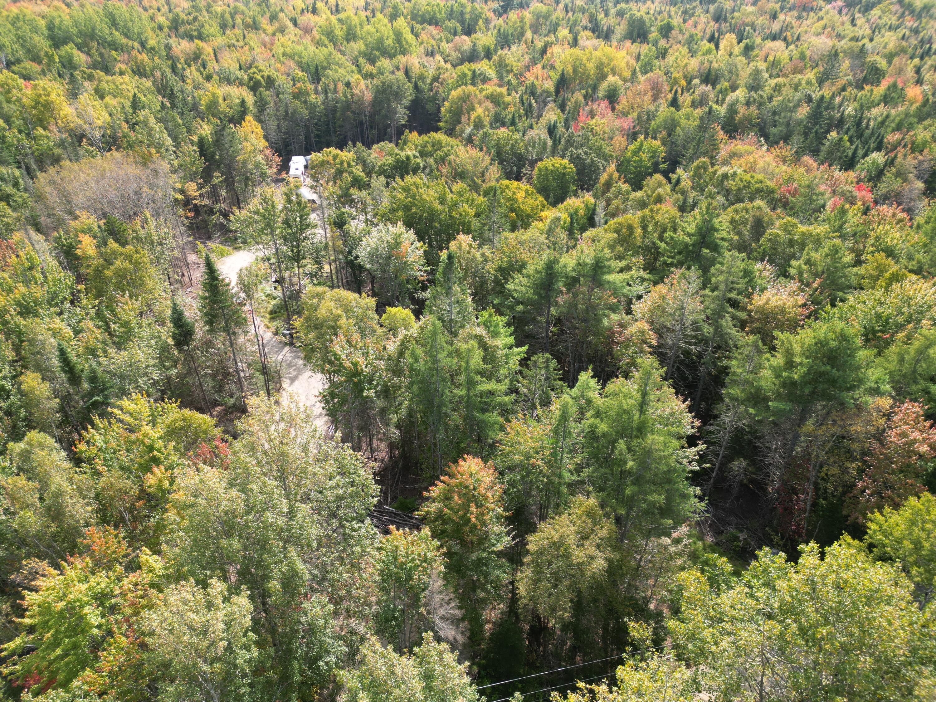 Tbd Moores Road Springfield, ME 04487 - Photo 12 of 22 DJI_0065
