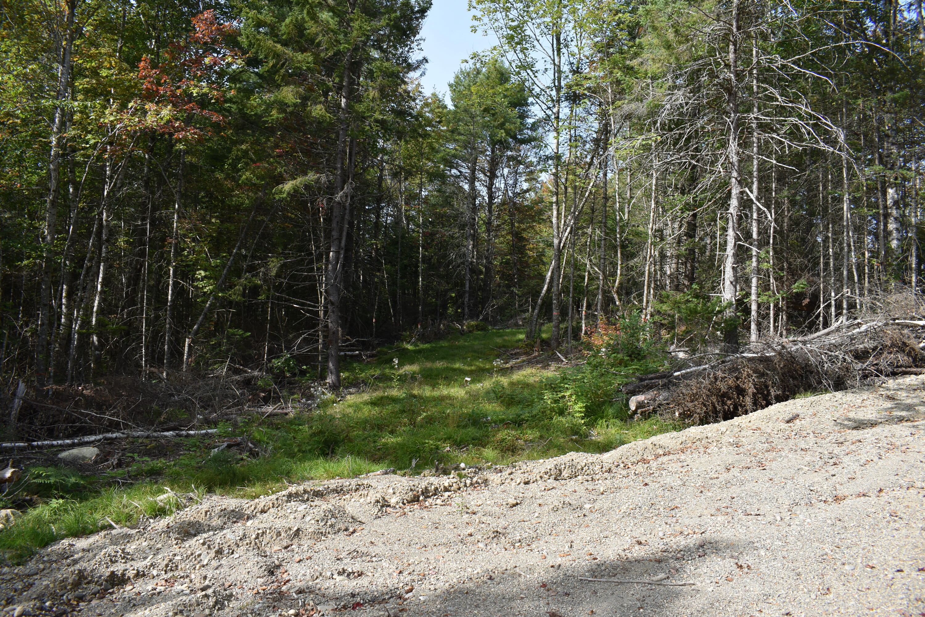 Tbd Moores Road Springfield, ME 04487 - Photo 15 of 22 DSC_0379