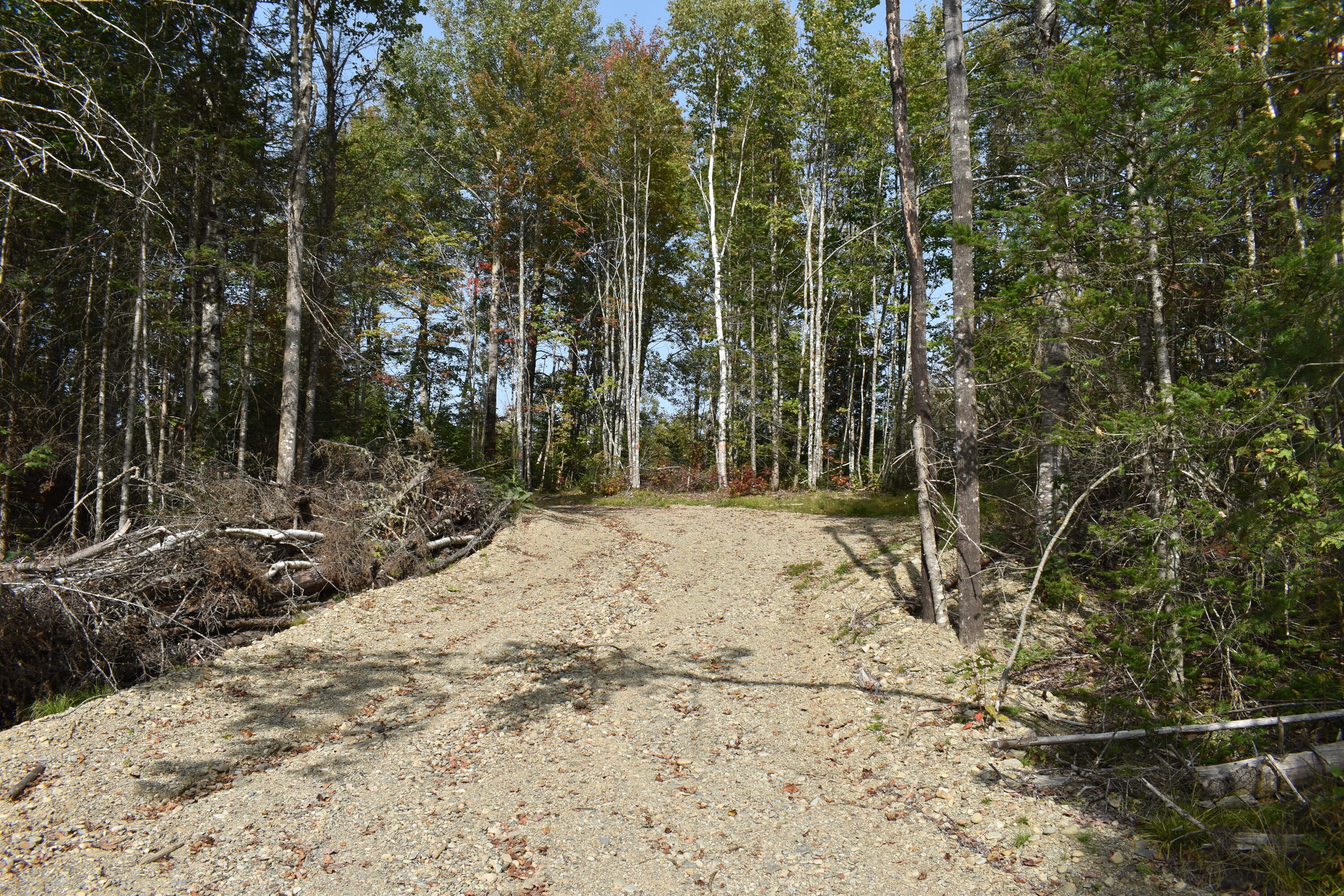 Tbd Moores Road Springfield, ME 04487 - Photo 16 of 22 DSC_0380