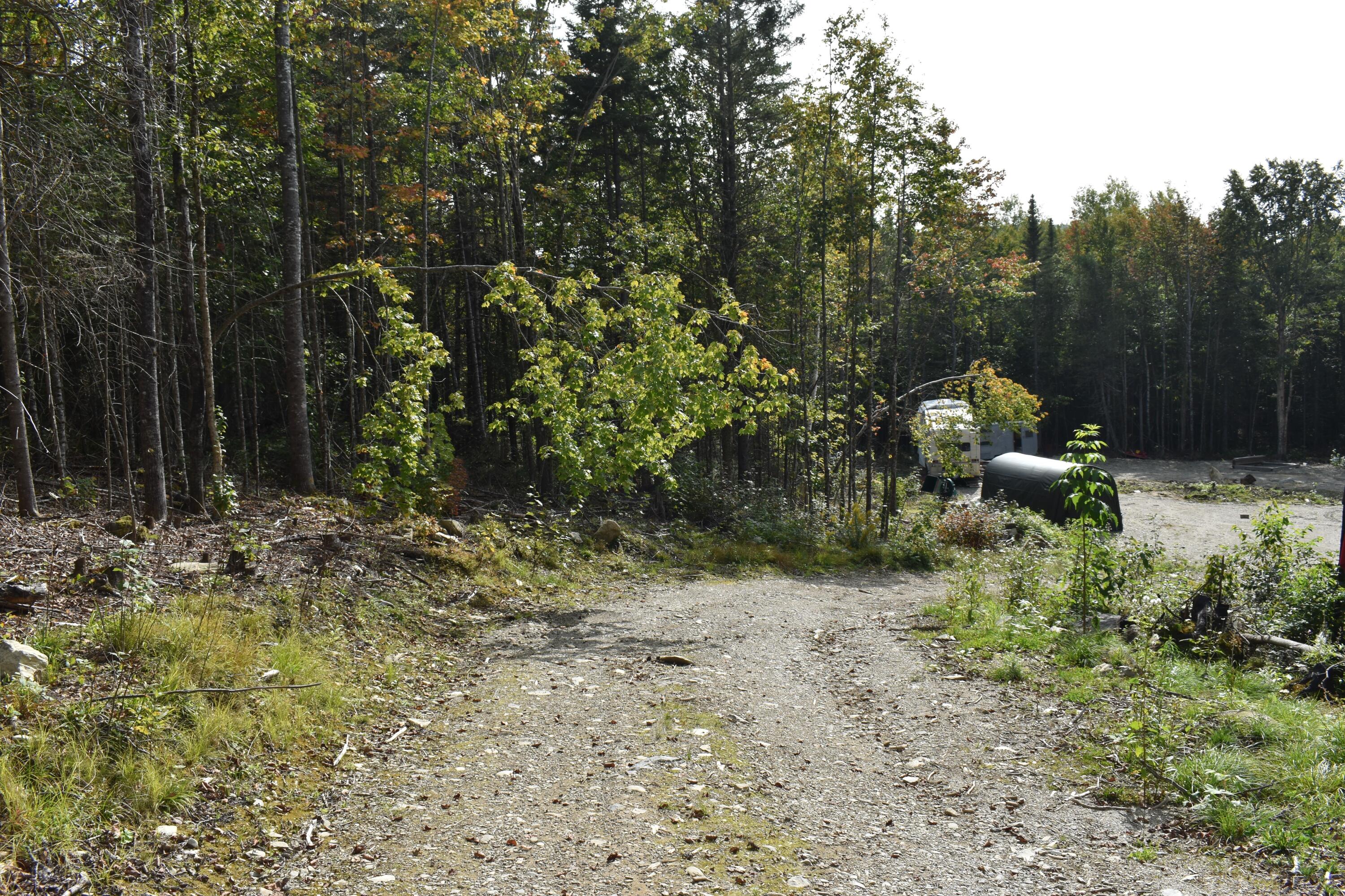 Tbd Moores Road Springfield, ME 04487 - Photo 20 of 22 DSC_0387