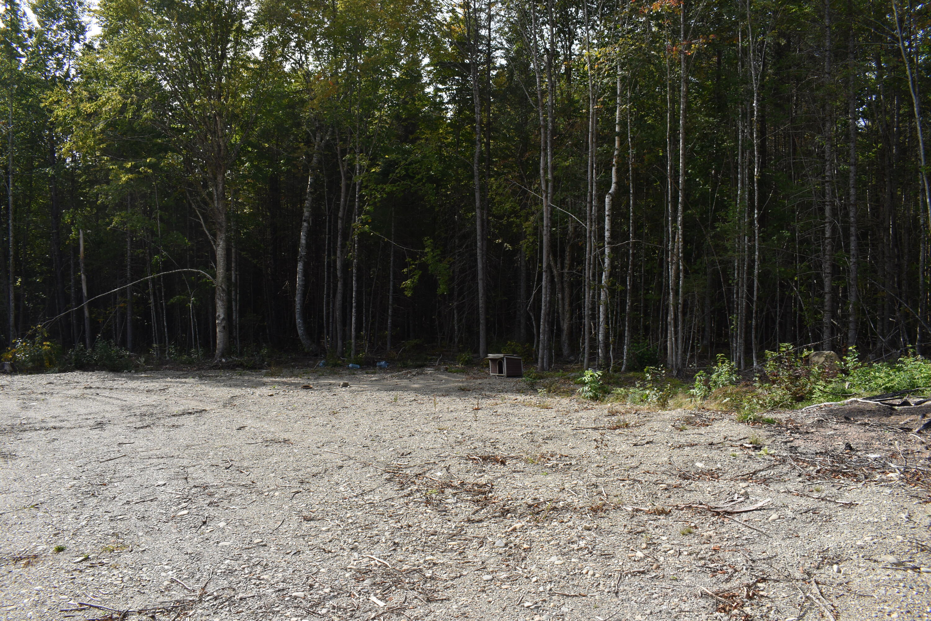 Tbd Moores Road Springfield, ME 04487 - Photo 4 of 22 DSC_0390